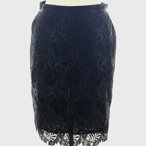 Ann Taylor NWT Size 14 Lace Sheath Knee Length Skirt - Picture 1 of 11